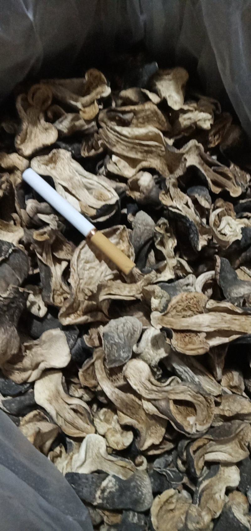 自种干草菇，质优价廉，一首货源，没有中间商。
