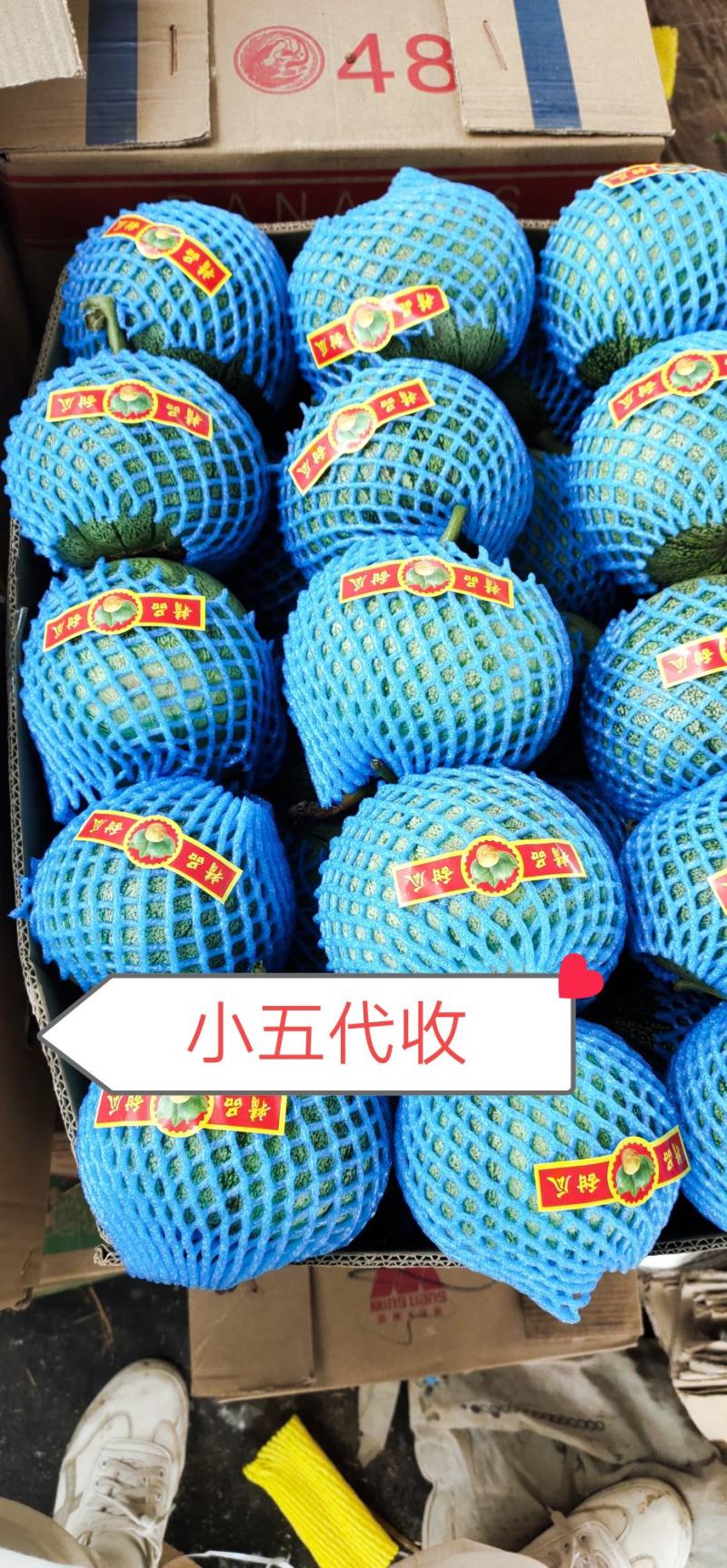 【热销】精品绿宝产地直销口感香脆可口一手货源