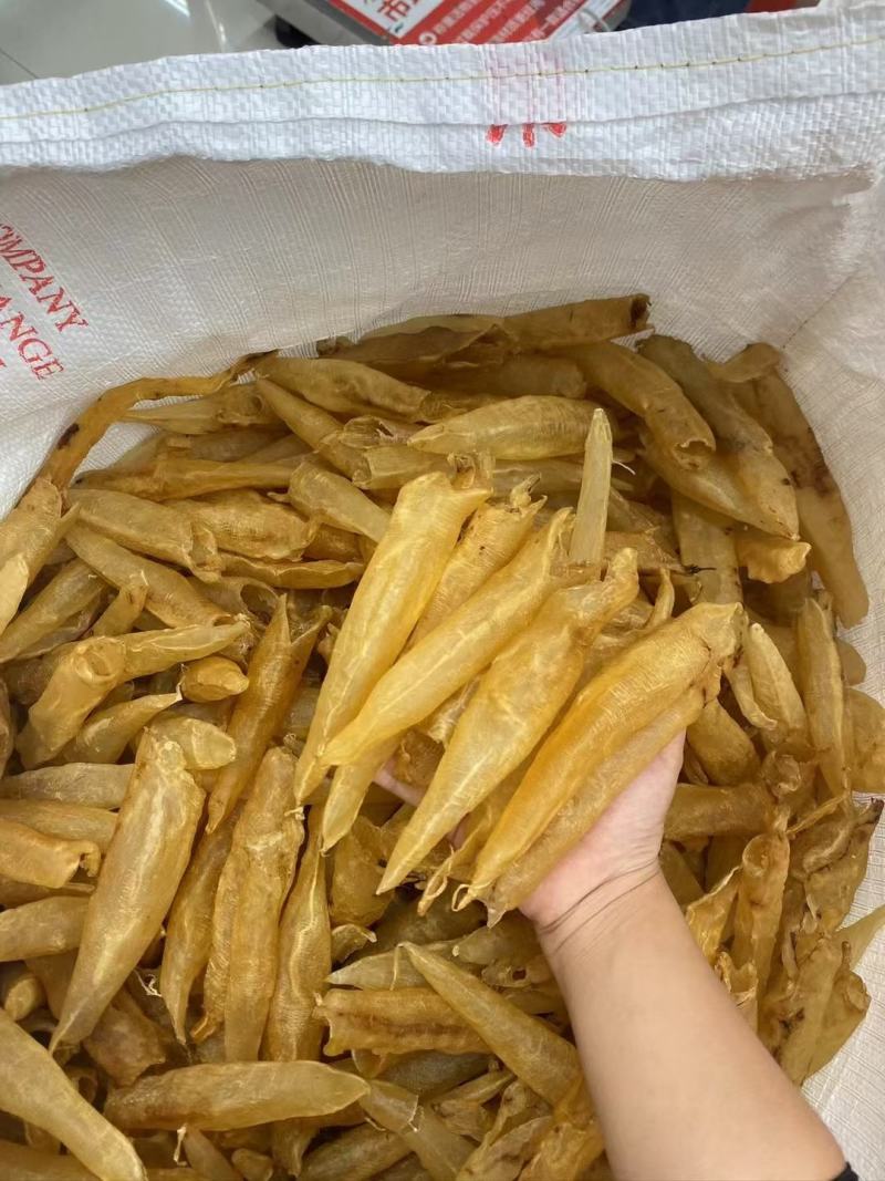 鱼胶黄花胶北海花胶鱼干货一件代发支持视频看货代发全国