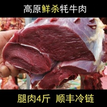 川西高原牦牛肉新鲜牛肉冰鲜装新鲜耗牛肉里脊后腿肉牛腩牛腱