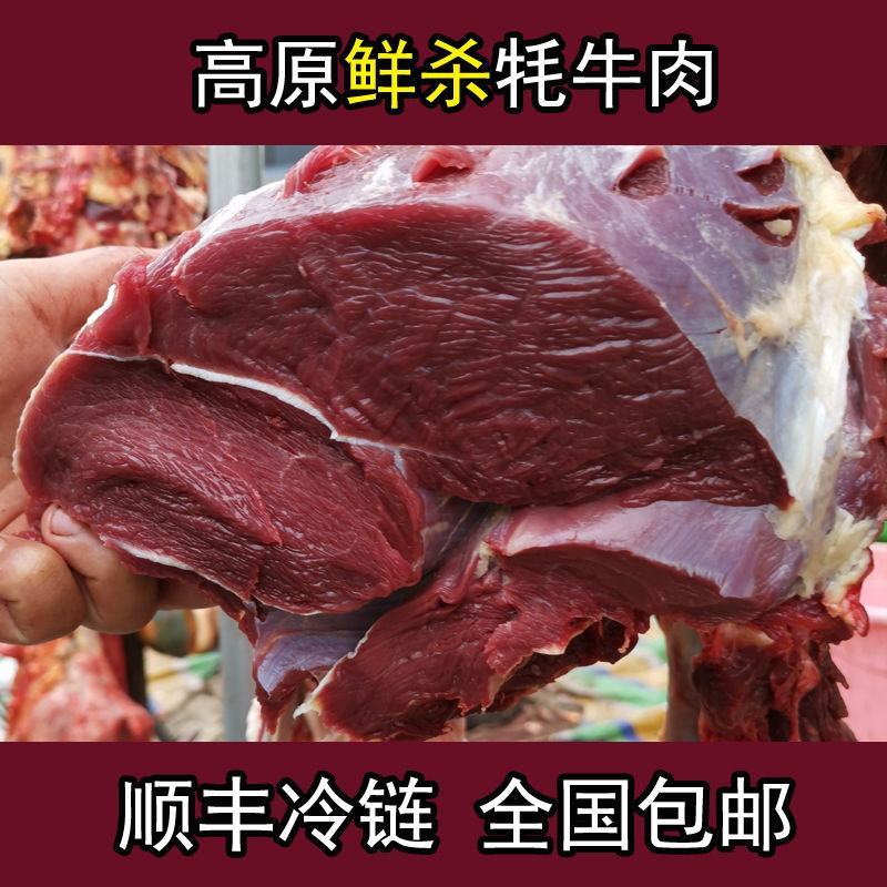 川西高原牦牛肉新鲜牛肉冰鲜装新鲜耗牛肉里脊后腿肉牛腩牛腱