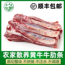 清真原切牛肋条国产鲁西黄牛新鲜冷冻牛肉牛腩条烤肉烧烤食材