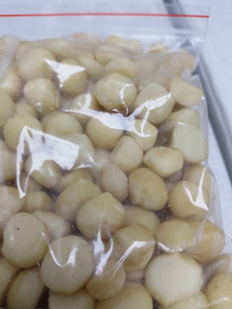 批发【夏威夷果仁】中小圆粒10斤起批发价实惠供应酒楼烘焙
