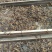 蕨菜、野菜、干菜、野生蕨菜、水煮蕨菜干、干货、全国包邮、