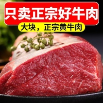 【10斤划算】正宗新鲜牛腿肉黄牛肉批发整箱牛腱子比现杀好