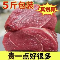 国产原切5斤新鲜现杀牛腿肉牛腱子生鲜牛肉5斤黄牛肉批发