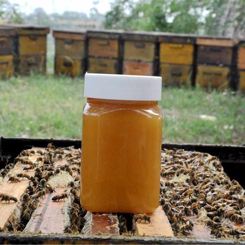 土蜂蜜！自家养的蜂只产地直发，货源充足，量大从优！