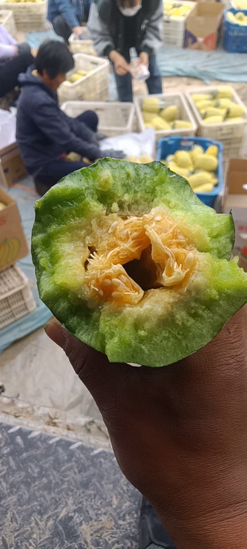 （基地直供）（热销）博洋九通货，只要需要就能满足……