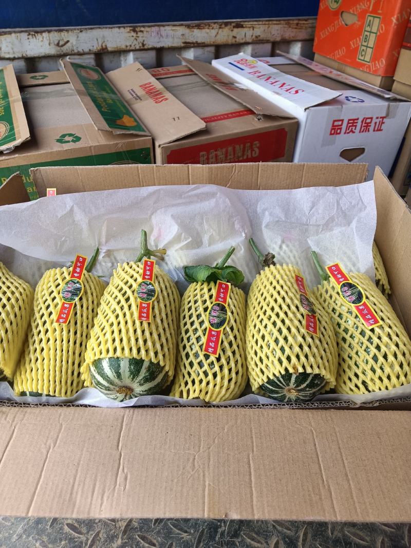 （基地直供）（热销）博洋九通货，只要需要就能满足……