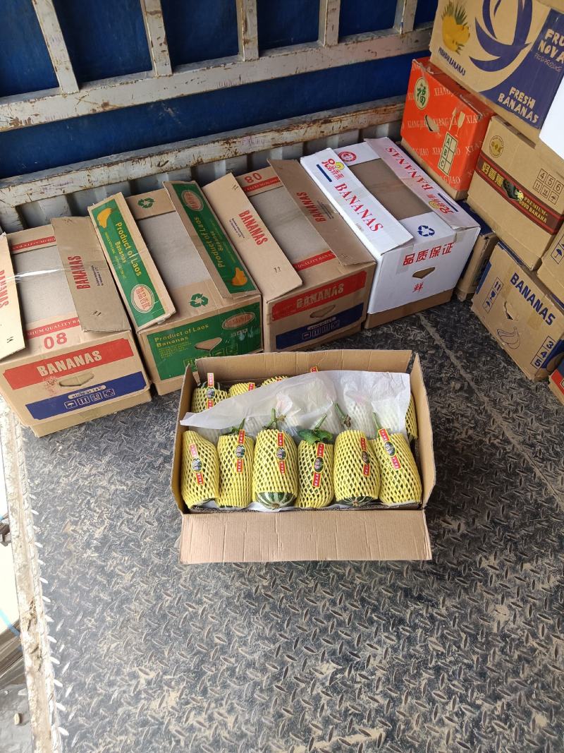 （基地直供）（热销）博洋九通货，只要需要就能满足……