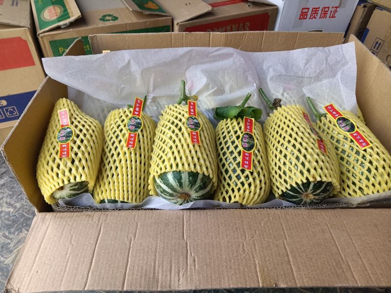 （基地直供）（热销）博洋九通货，只要需要就能满足……