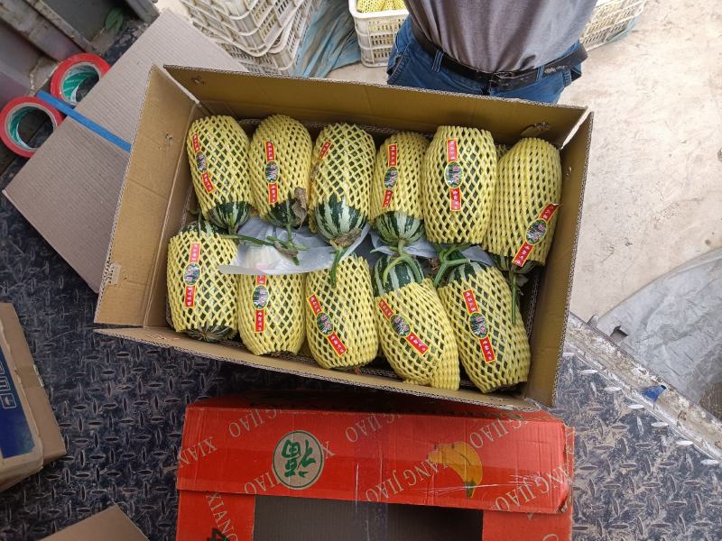 （基地直供）（热销）博洋九通货，只要需要就能满足……