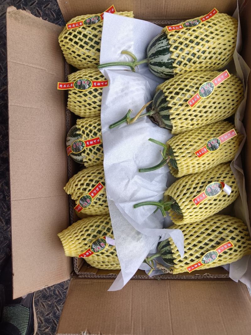 （基地直供）（热销）博洋九通货，只要需要就能满足……