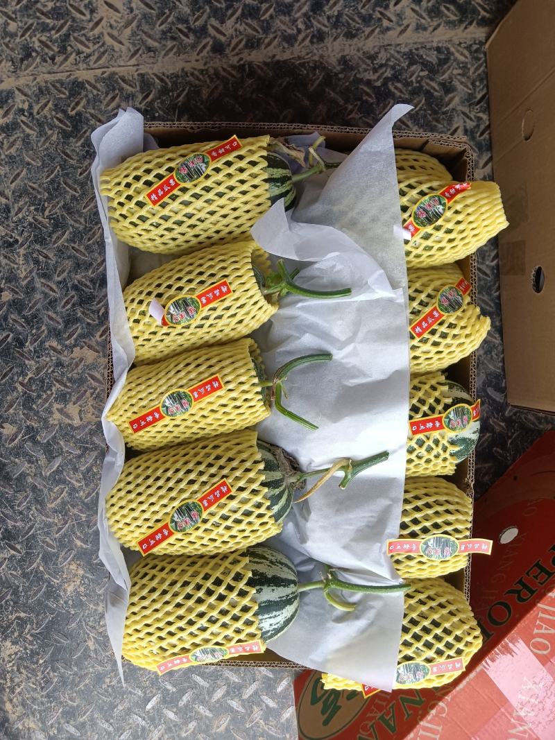 （基地直供）（热销）博洋九通货，只要需要就能满足……