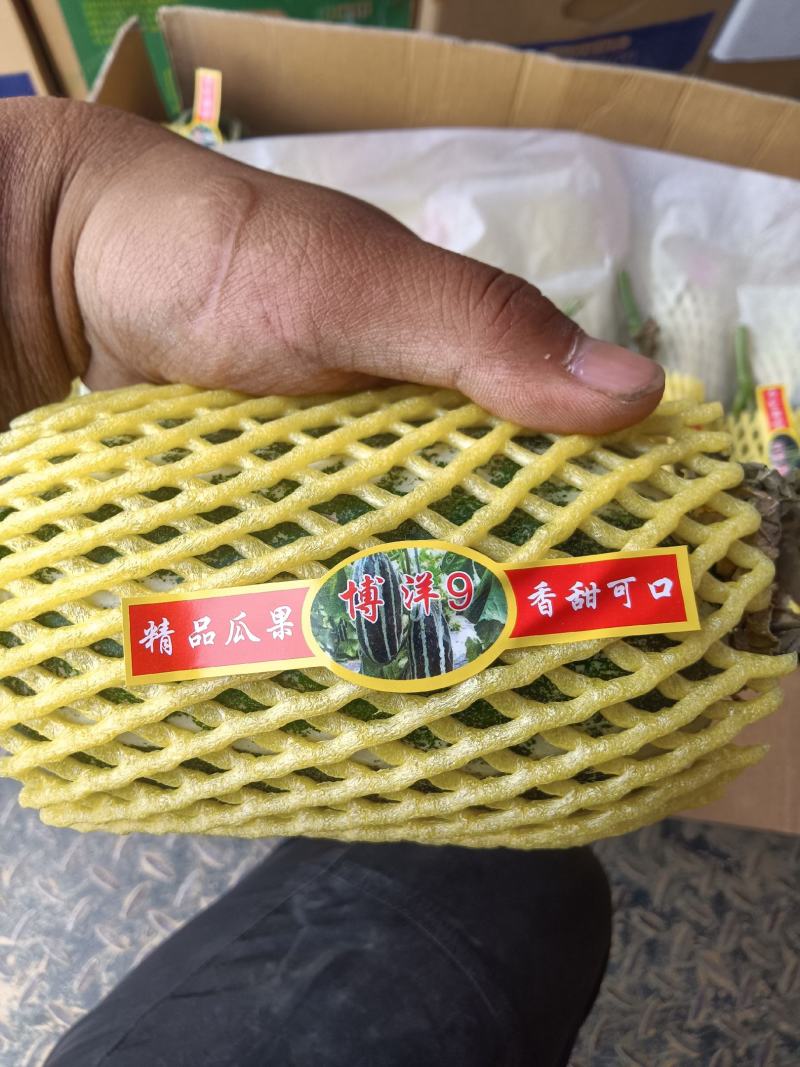 （基地直供）（热销）博洋九通货，只要需要就能满足……