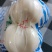 兰州鲜百合，甜脆可口，精品两头皇，原产地直发