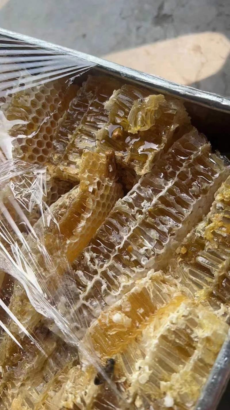 蜂巢蜜正宗蜂巢蜜现卖现割非常新鲜产地直销价格实惠