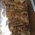 蜂巢蜜正宗蜂巢蜜现卖现割非常新鲜产地直销价格实惠