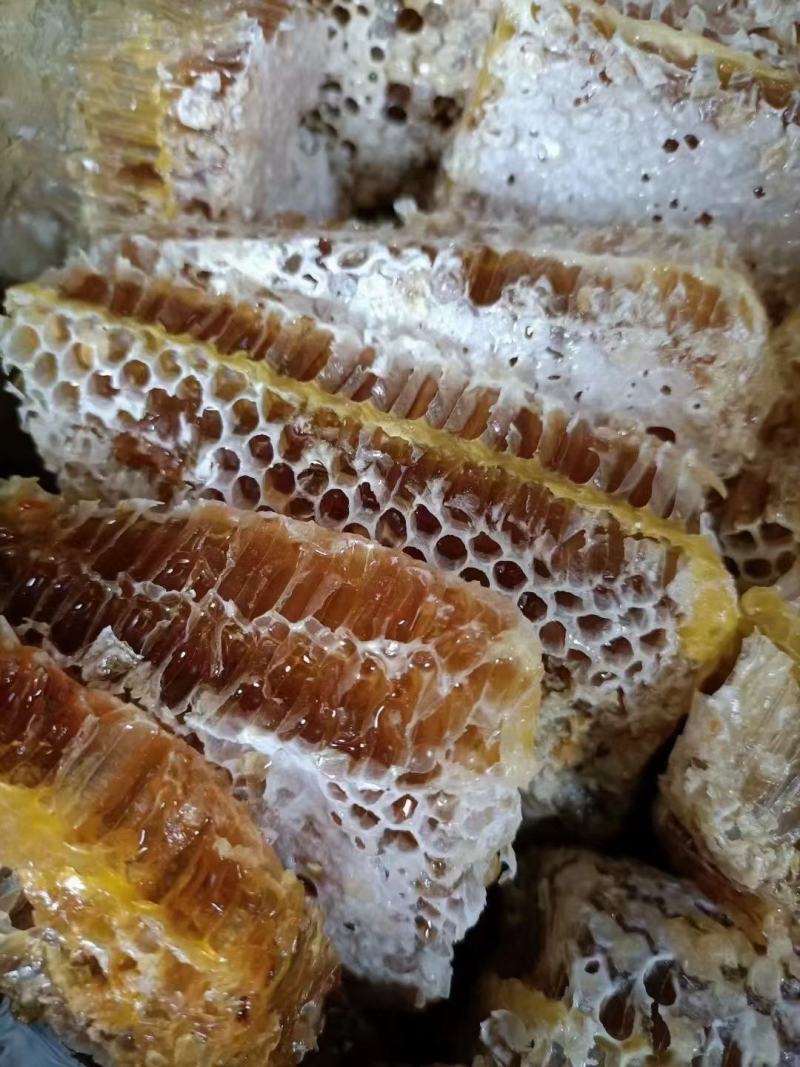 蜂巢蜜正宗蜂巢蜜现卖现割非常新鲜产地直销价格实惠