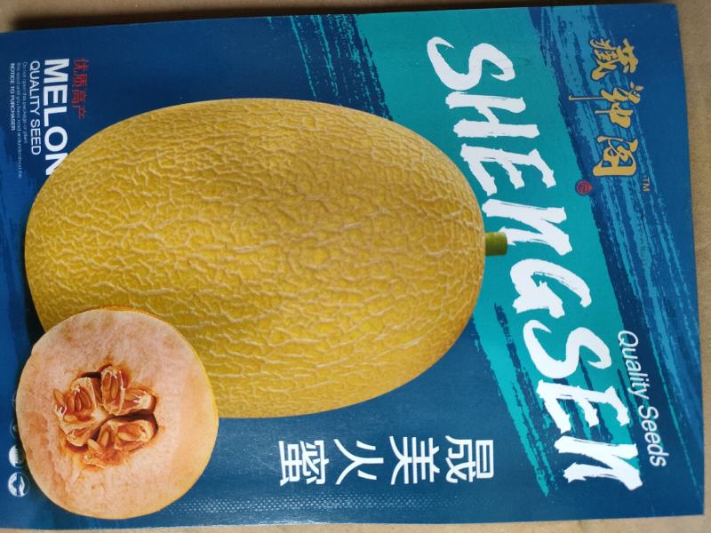 黄网哈密瓜25种子，黄皮红肉网纹好肉质红脆，高产抗病