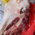 驴肉每天现宰的。板肠。蝎子骨。心。肝。烫皮的。剥皮的。头