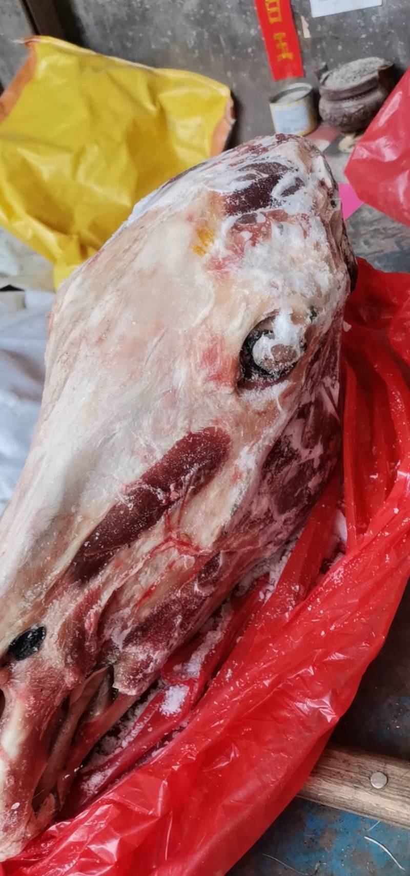 驴肉每天现宰的。板肠。蝎子骨。心。肝。烫皮的。剥皮的。头