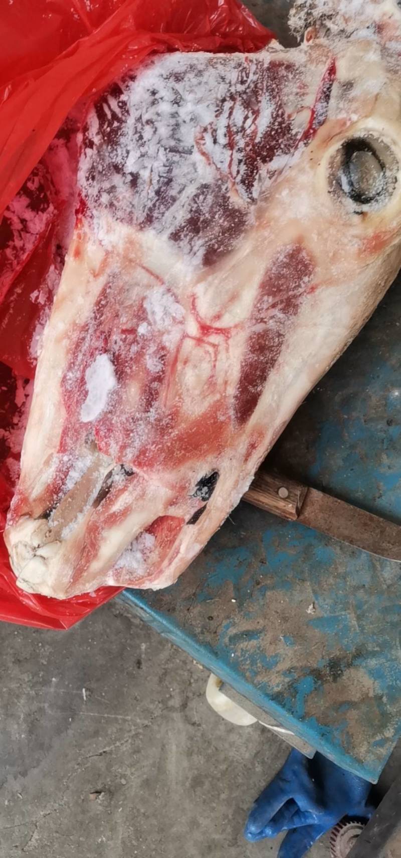 驴肉每天现宰的。板肠。蝎子骨。心。肝。烫皮的。剥皮的。头