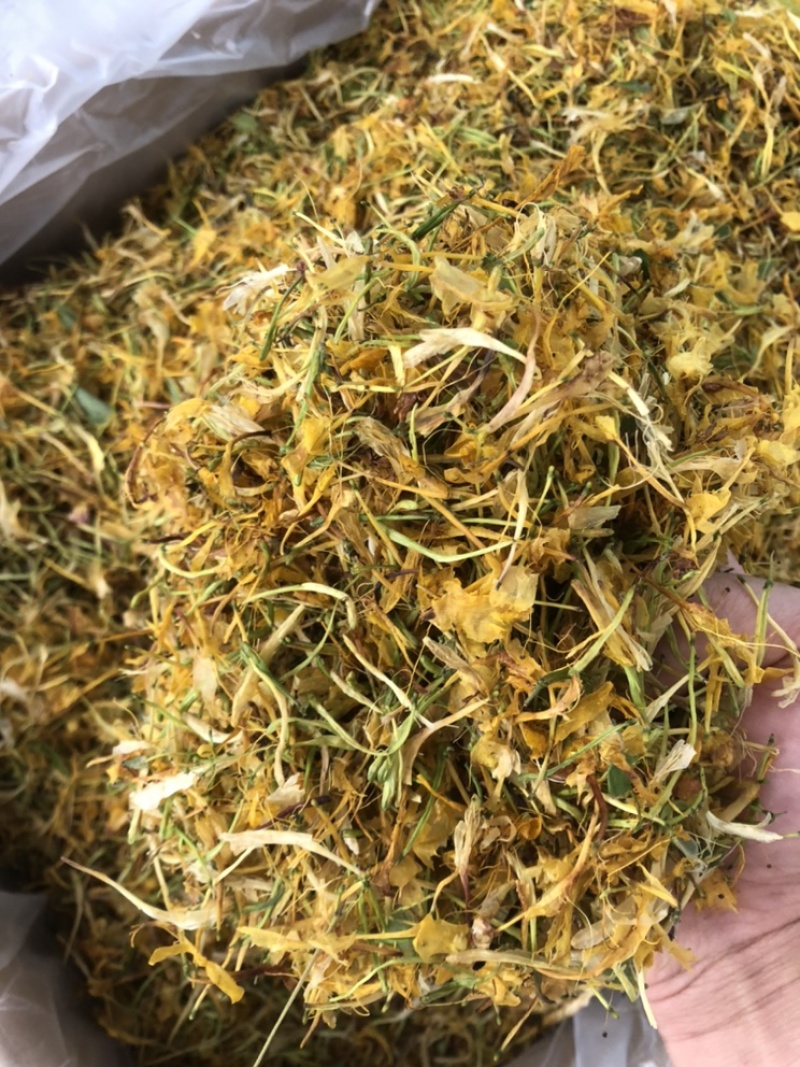 中药材野生今年新货五彩花金银花