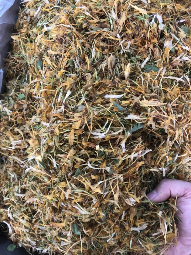 中药材野生今年新货五彩花金银花