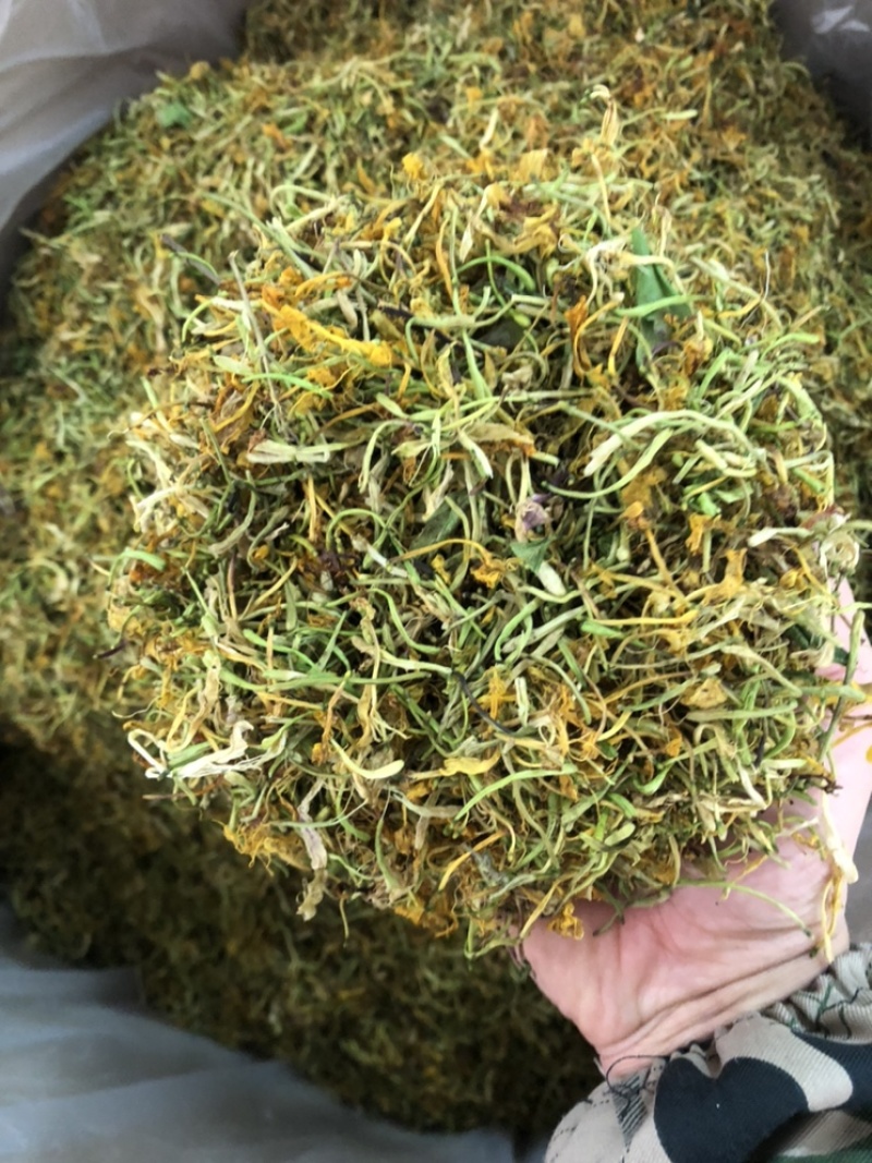 中药材野生今年新货五彩花金银花