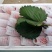 云南草莓双流草莓蒙特瑞5斤10斤糖葫芦蛋糕奶茶适用