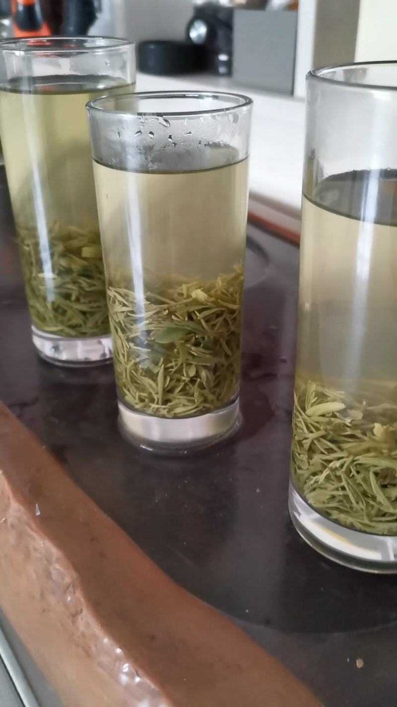 绿茶正宗2023年信阳毛尖茶叶茶农原产地直销保质保量明茶