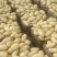 山东荷兰土豆现货供应商超市场保鲜储存,专业代发质量保证