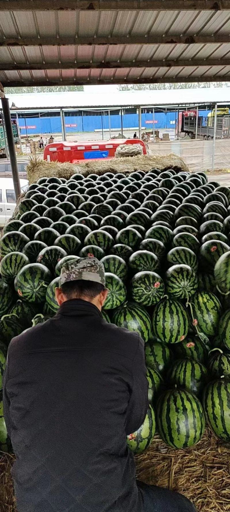 甜王西瓜电商优选精品商超规格小销量大需要联系
