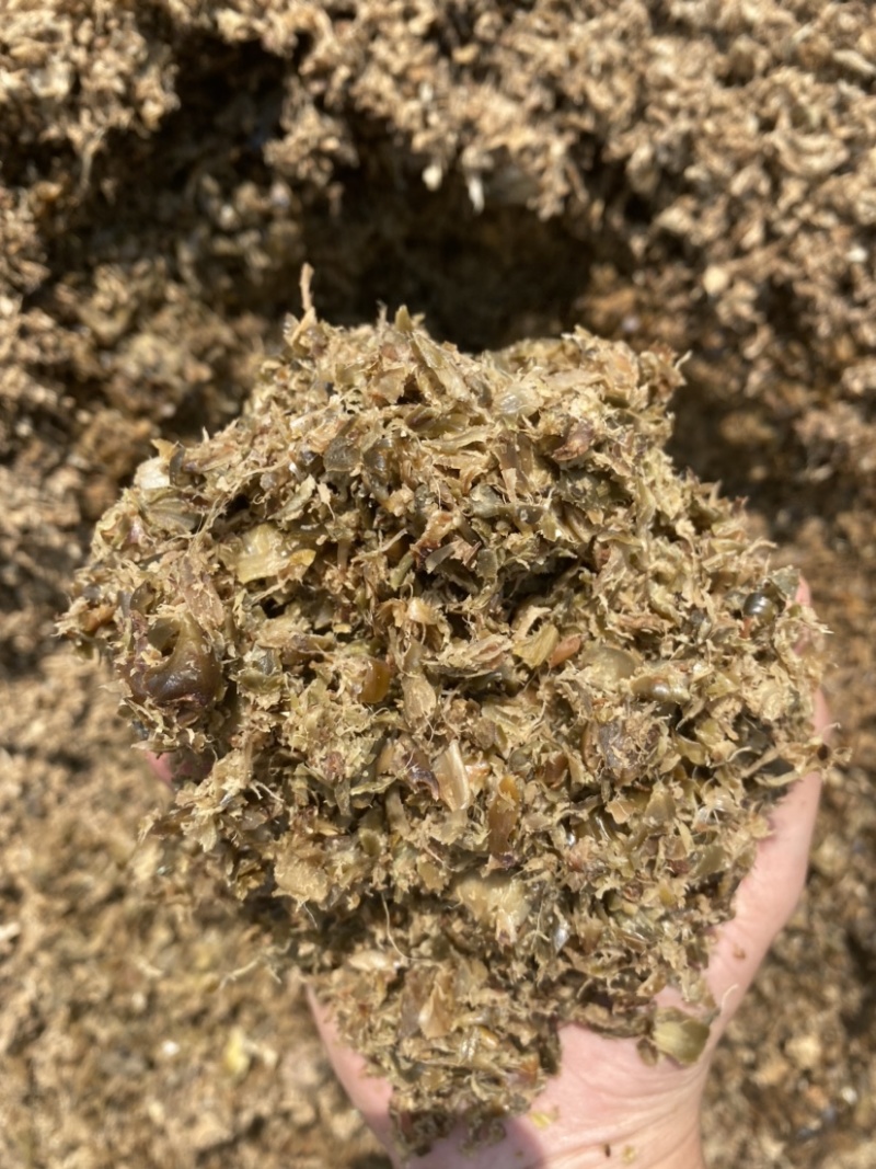 广东湛江新鲜的菠萝皮压榨出来用来发酵好的菠萝渣牛饲料