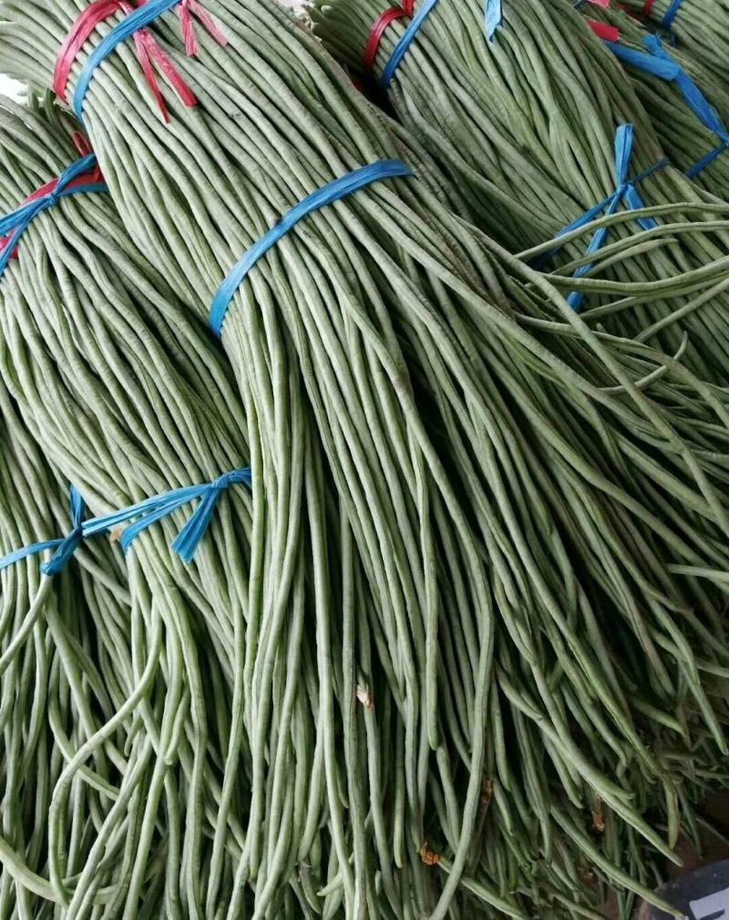 长豆角白条豆角上市中精品，产地直销！腌制市场都可以做