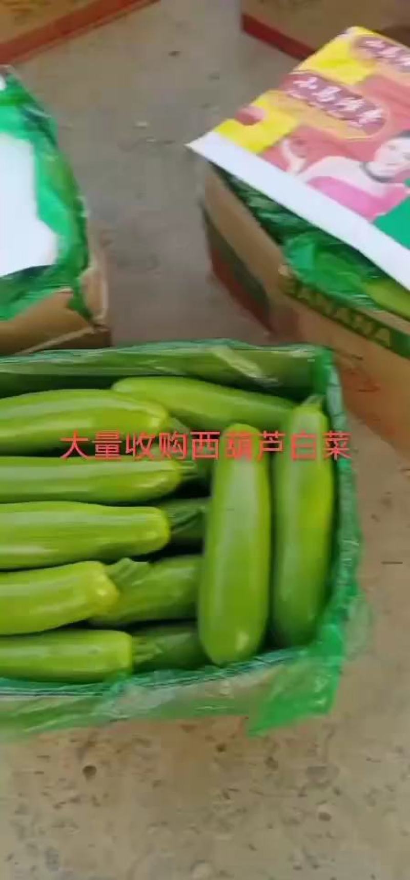 河北临漳惠万民优质供货基地代发全国