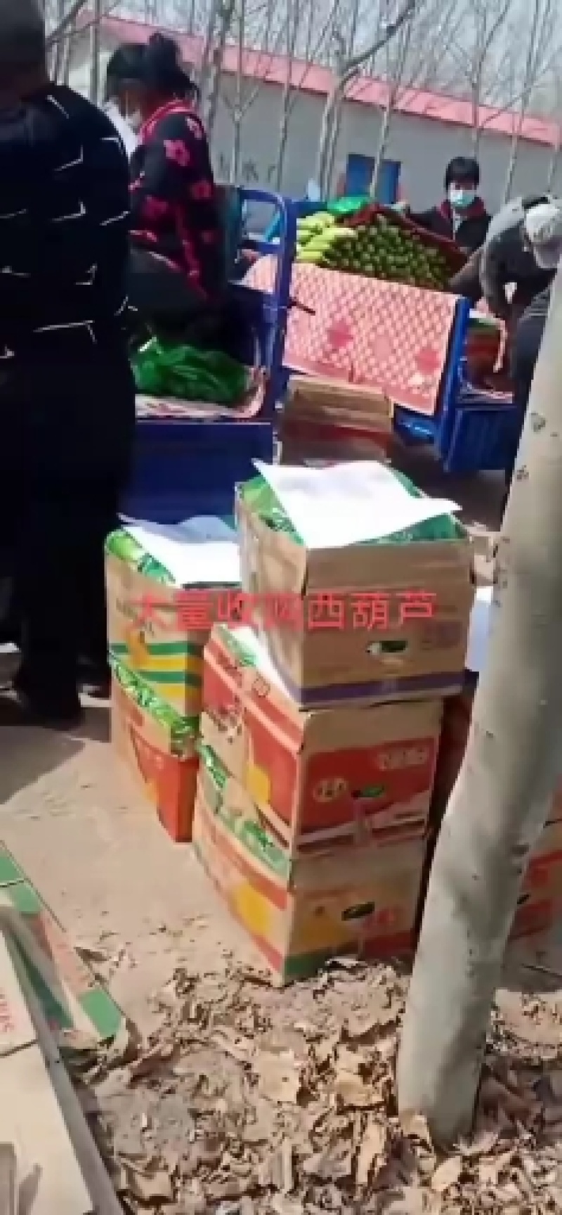 河北临漳惠万民优质供货基地代发全国
