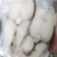 深海鳕鱼片，富含多种维生素，香煎美味可口。