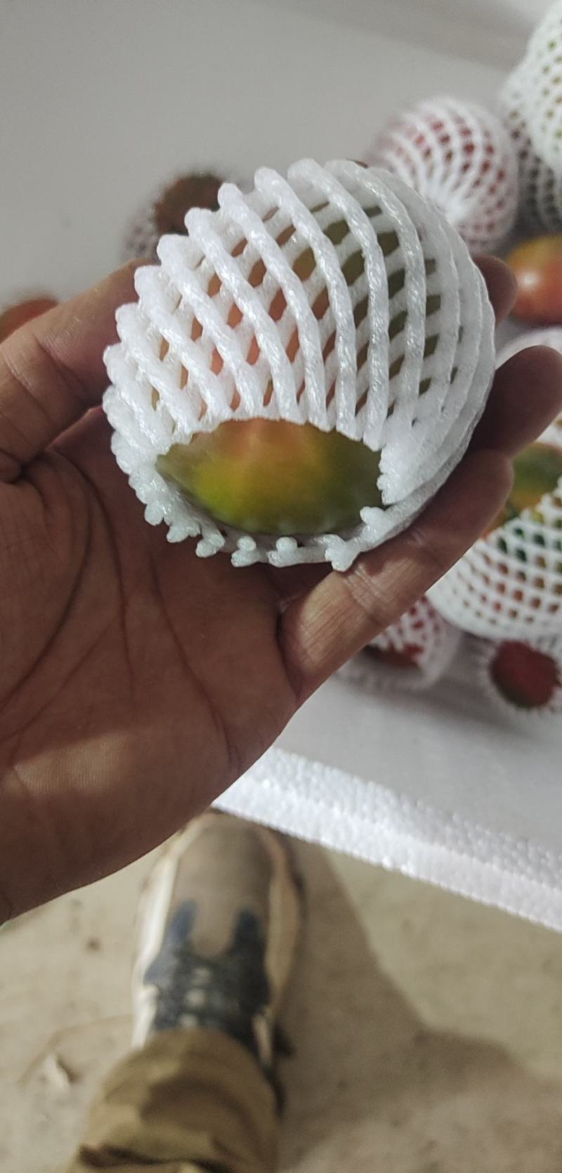 水果柿子