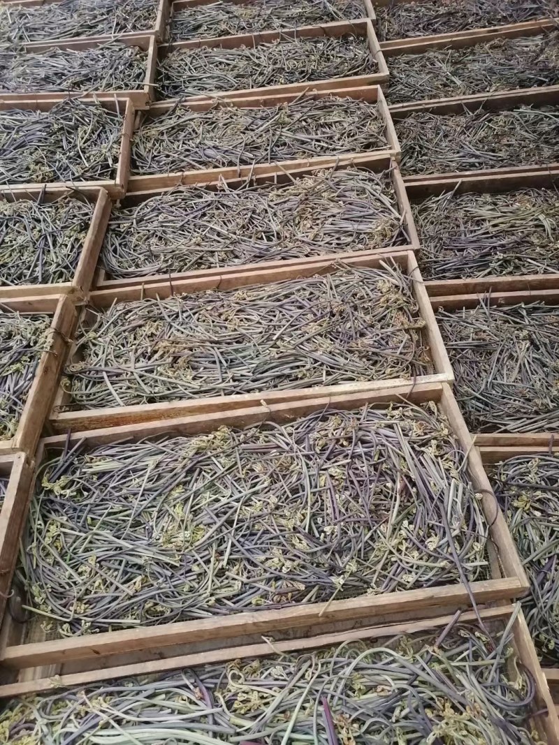 大山里生长的野生蕨菜干，健康营养。吸收阳光精华晒干