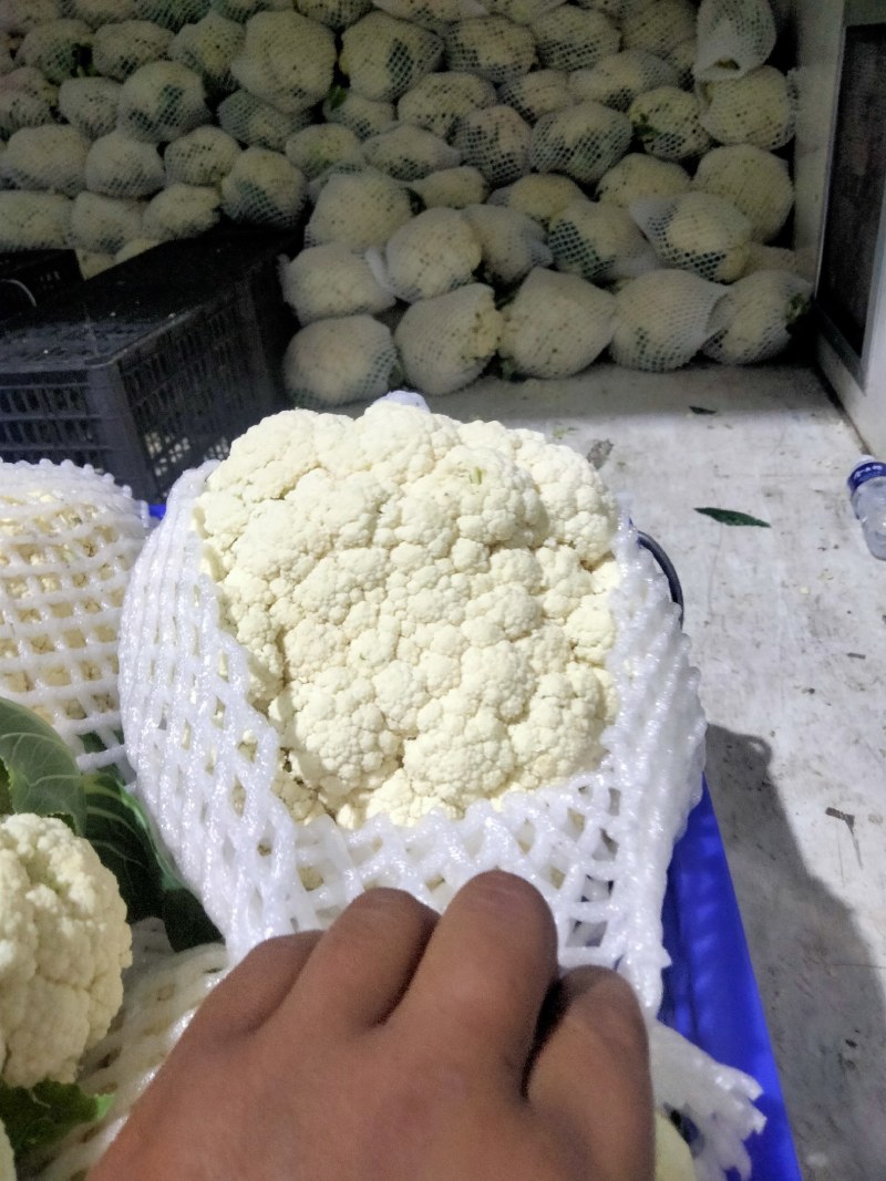 陕西三原有机花大量走货中