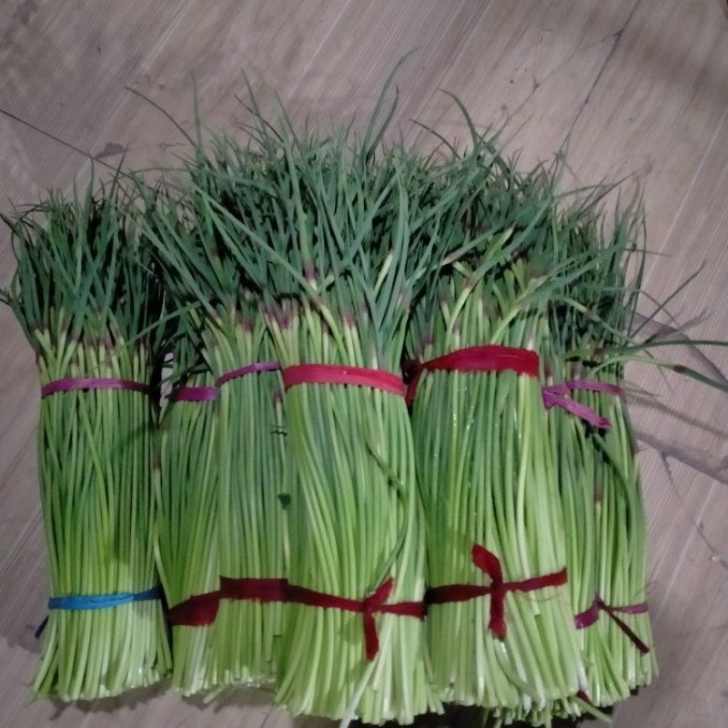 优质红帽蒜苔，白帽蒜苔大量上市
