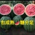 甜王西瓜京欣西瓜产地直发品质保证诚信经营欢迎联系