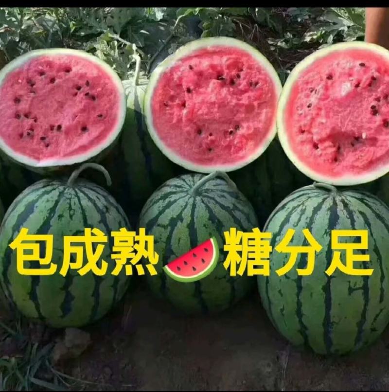 甜王西瓜京欣西瓜产地直发品质保证诚信经营欢迎联系
