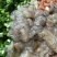 200克熟冻虾爬肉，虾姑肉