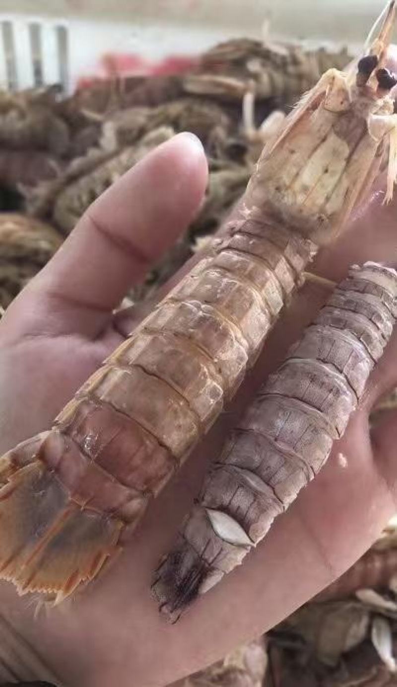 200克熟冻虾爬肉，虾姑肉
