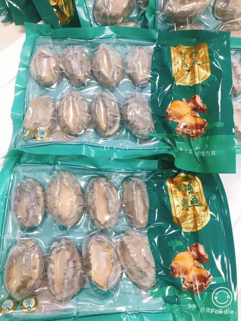 鲍鱼