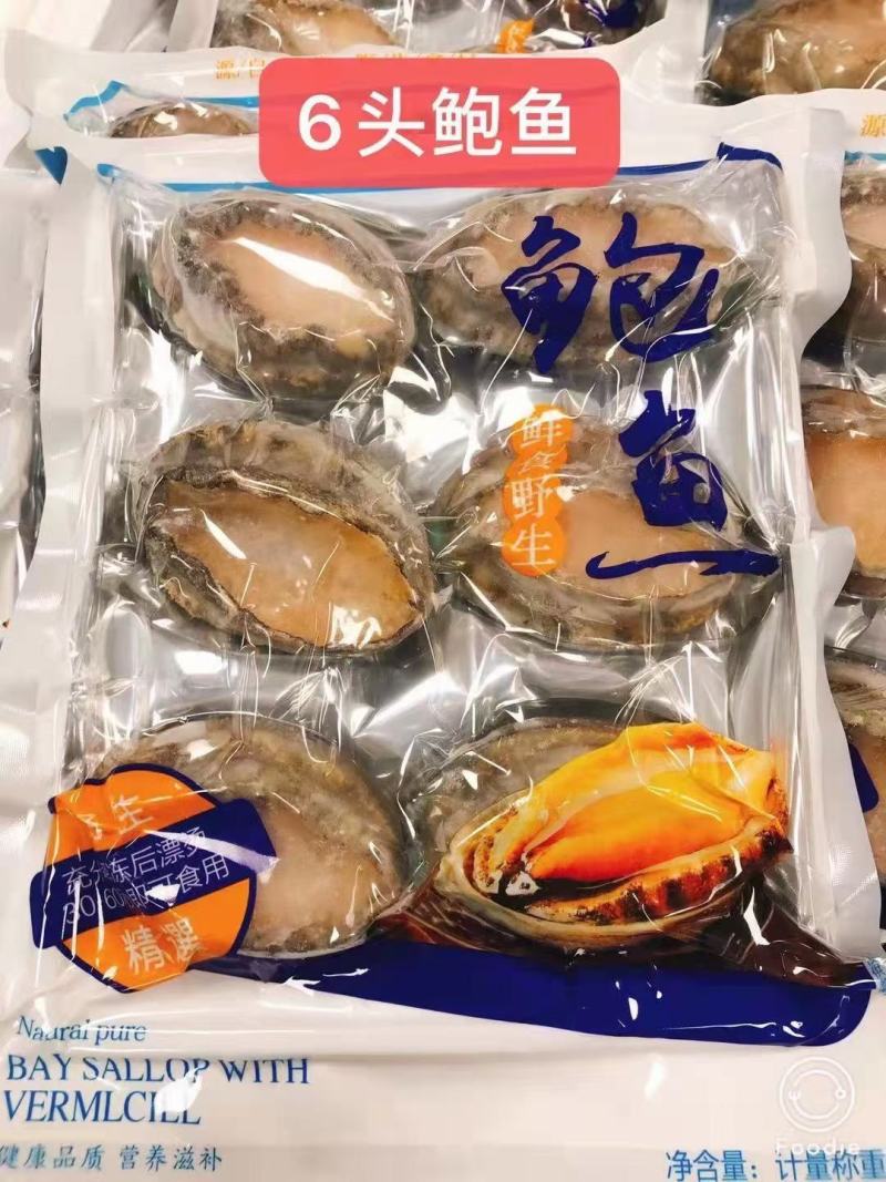鲍鱼