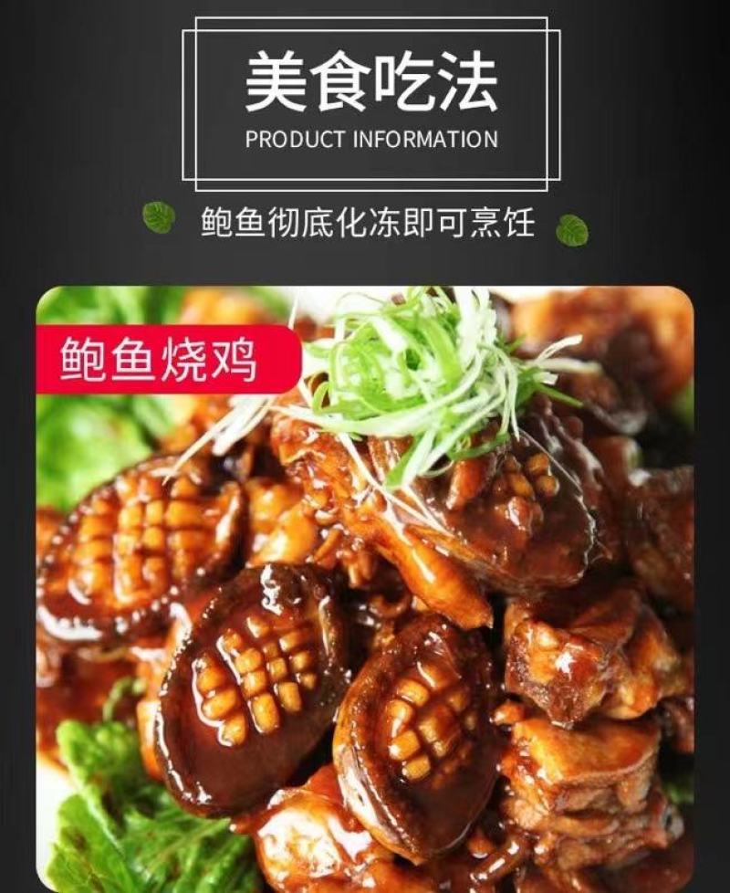 鲍鱼